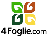 4 Foglie
